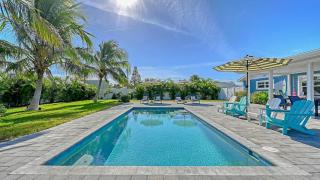 Viva La Flamingo - 4