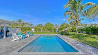 Viva La Flamingo - 3