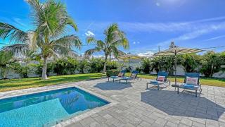 Viva La Flamingo - 2