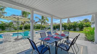 Viva La Flamingo - 1