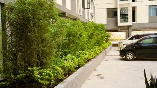 CnS luxurious home - 8