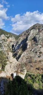 Farfalle in fiore Guesthouse - 4