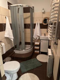 Apartament w Beskidach Niezapominajka przy stoku - 4