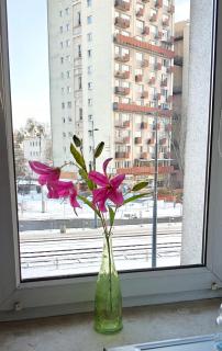 Blue Dream - Warsaw Ochota Apartment - 2