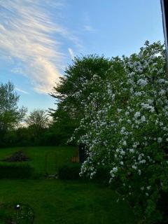 Ferienwohnung im Grünen - 2