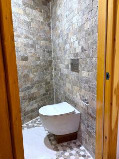 Dream River Sapanca - 1