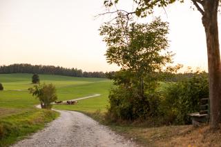 Vogelbauer Apartments - Veiglberg - 7