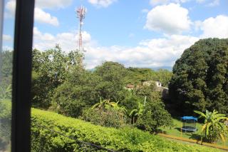 Apartamento moderno céntrico Palmira - 6