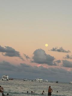 Paradise away from home - 9