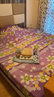 Stella Polaris 2 Sunny Beach - 4