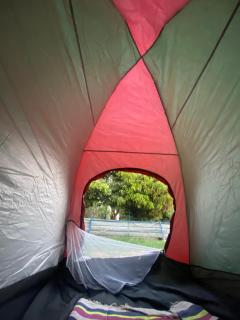 Bafana Bafana Nile View Guest House - 7