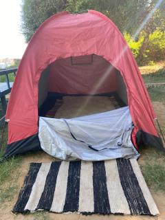 Bafana Bafana Nile View Guest House - 2