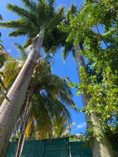 Appartement l'écrin - 6