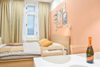 Olomouc Central Apartment - 9