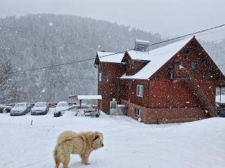 Pensiunea Cabana Viselor ,Apuseni - 2