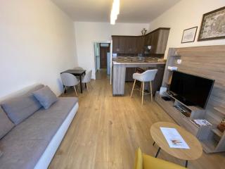 City Center Apartman Debrecen - Debrecen - 8