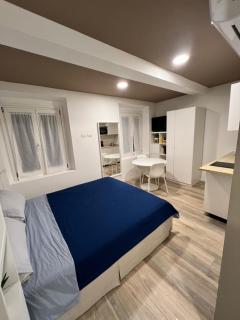 Residence della Accademia - 4