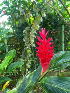 Appartement l'écrin - 3