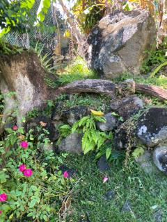 Appartement l'écrin - 1