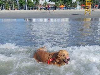 Praia Guilhermina Perto de Tudo Longe do Barulho - 4