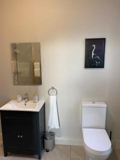 Bright and cozy apartment on Grand Canal Greenway - 5