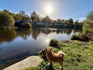 Dillons Lakeside Lodge - 7