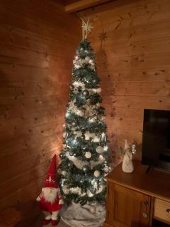 Chalet le repos des jumeaux - 8