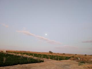 Wonder Bird Hotel - 1