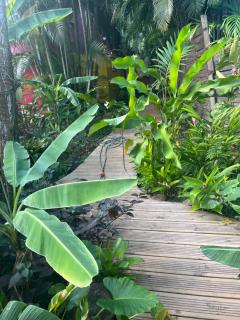 Le MORNE Aux F0US Cabanes & Jardin Tropical - 7