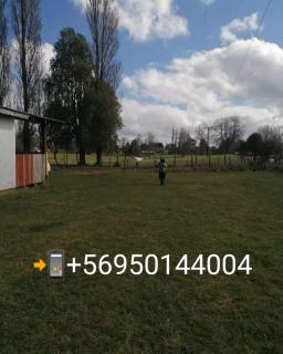 Cabaña en Frutillar - 2