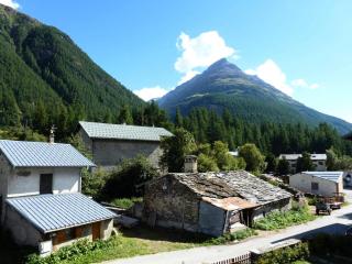 Résidence Les Chaudannes - Appartement 3 pièces coin montagne - 6 personnes MAE-2443 - 2