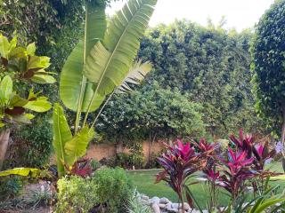 Royal Mariout Villa Private Pool & Garden, King Mariout Alexandria - 5