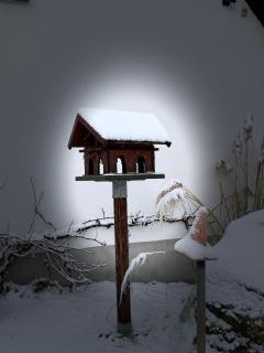 Bitte Anzeige entfernen - 6