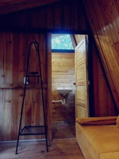 Bosque Venado de Oro - 1