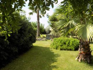 Asparano - Ognina - 1
