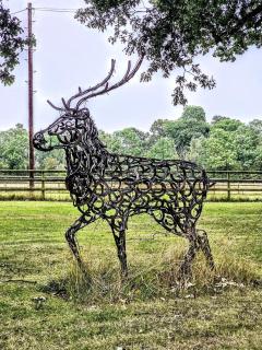 Annexe at The Chalet - A one bedroom annexe with gorgeous countryside views - 5