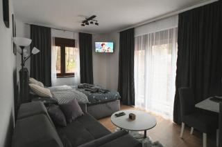 Apartman Gorska Vila - Divcibare - 5