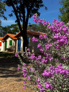 Caminhos das Pedras - 5