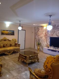 casamia executive - 0