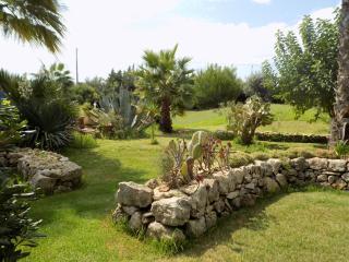Asparano - Ognina - 5