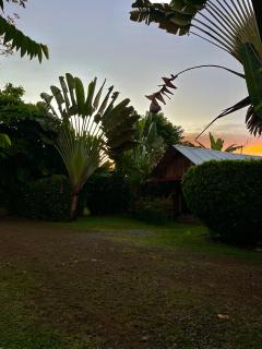 Ballena Oasis Homes & Glamping - 1