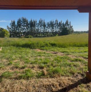 Escapada de Naturaleza y Silencio, Cabaña cercana a Lago Ranco - 5
