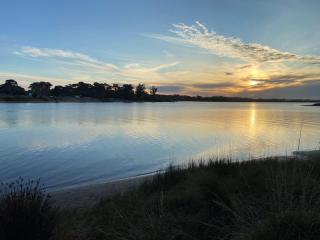 Flor de canela 4 - 1
