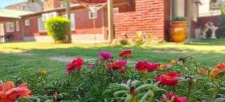 cabañas LAS AMELIAS - 0