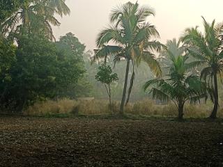 Priyansh Home stay - 7