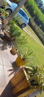 Recanto dos Sonhos - Bocaina - 7