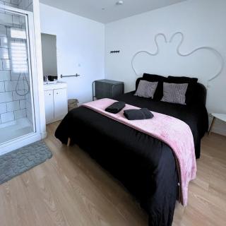 Combo centre-ville - 8 pers - 3 chambres avec salle de bain - 7