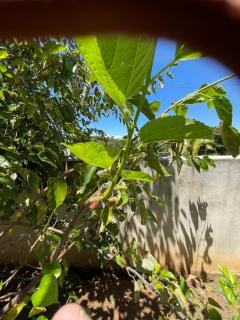 Chalé Arcos do Sol - Carrancas - 1