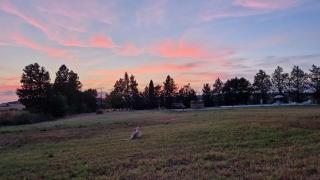 Casa Vacanze Napicola Alta - 2