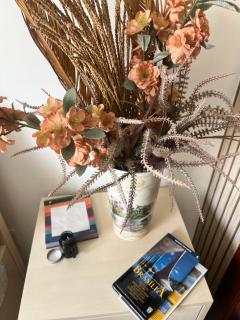 Decorado e no coração Plano Piloto - BSB - 7